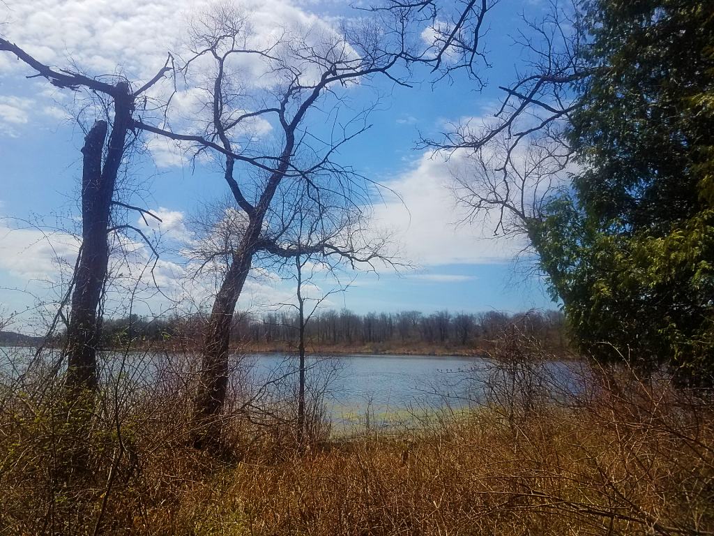 East Stony Creek Lake. 